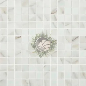 Calacatta Mate 25x25
