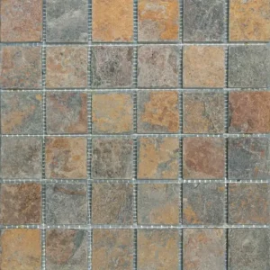 Rajastran Multicolor