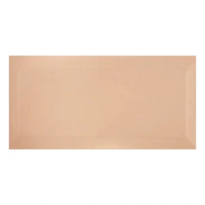 Unicolor 10x20 Biselado Beige
