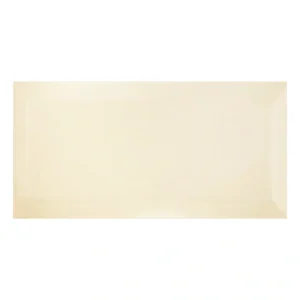 Unicolor 10x20 Hueso