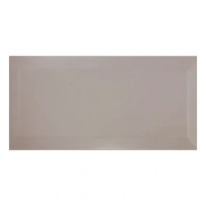 Unicolor 10x20 Biselado Plata