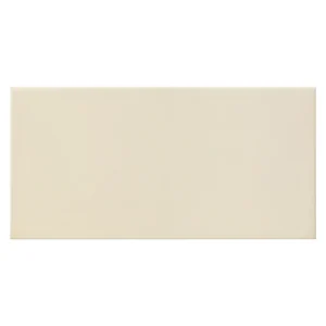 Unicolor 10x20 Hueso