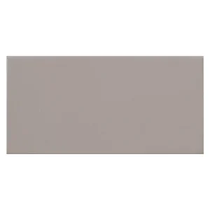 Unicolor 10x20 Plata