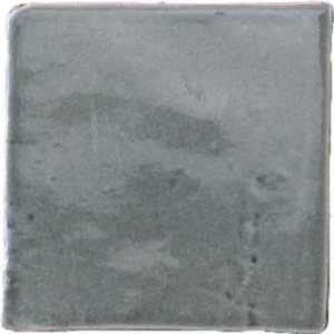 Charleston Gris 10x10