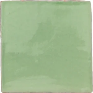 Charleston Kiwi 13x13