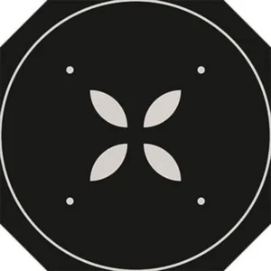 Flagstaff Black and White Dec 2